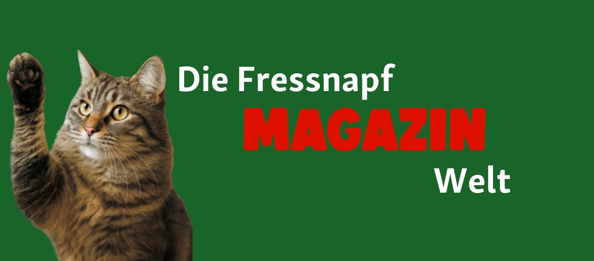 FN Friends0625_Startseite