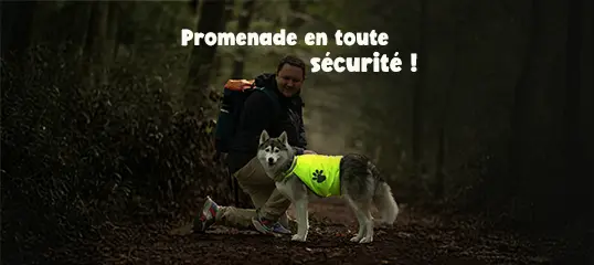 Promenade en toute sécurité