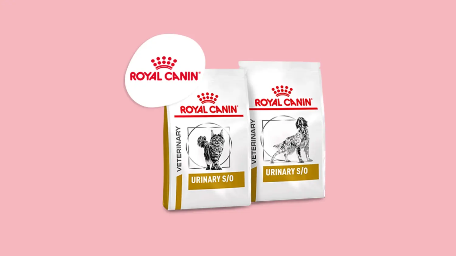 Nourriture Royal Canin Vet urinary
