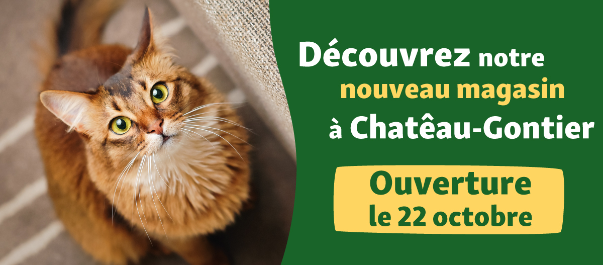 banner-chateau bannière présentant l'ouverture du magasin Maxi Zoo Chateau-Gontier le 22 octobre 2025