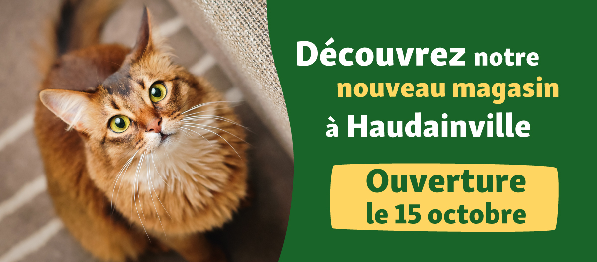 banner-haudainville bannière présentant l'ouverture du magasin Maxi Zoo Haudainville le 15 octobre 2025