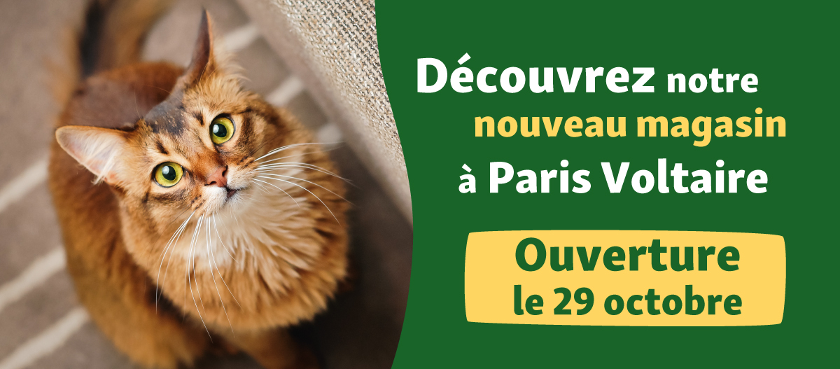 banner-parisvoltaire Opening FR Paris Voltaire 29 octobre 2025