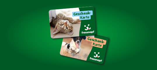 AT_Geschenkkarte_OS_Onsite Promo-Teaser 538 x 240