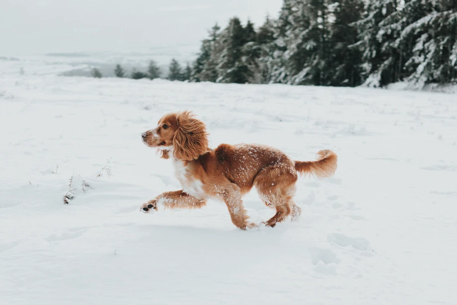 GettyImages-1126800414 (1)