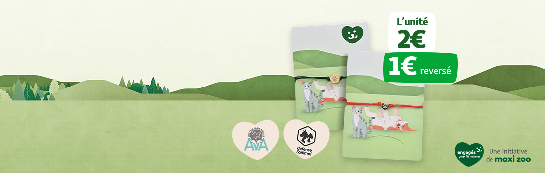 Bracelet de l'amitié