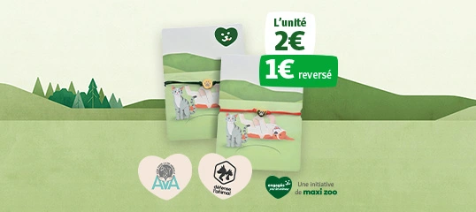 Bracelet de l'amitié