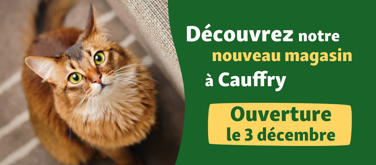 Banner Opening FR Cayffry 03.12