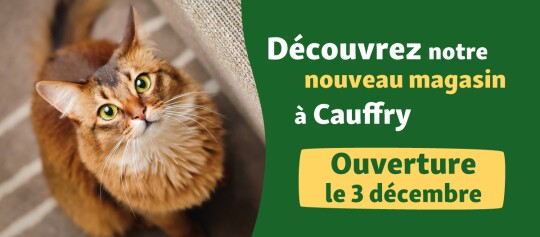 Banner Opening FR Cayffry 03.12