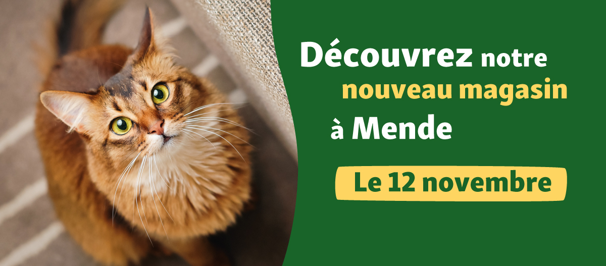 bannière présentant l'ouverture du magasin de Mende Maxi Zoo France le 12 novembre 2025
