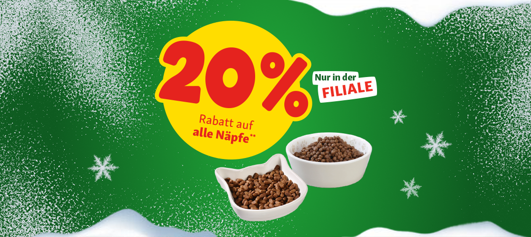 fnat_kompetenz_12-25_onsite_promo-teaser_1076x480