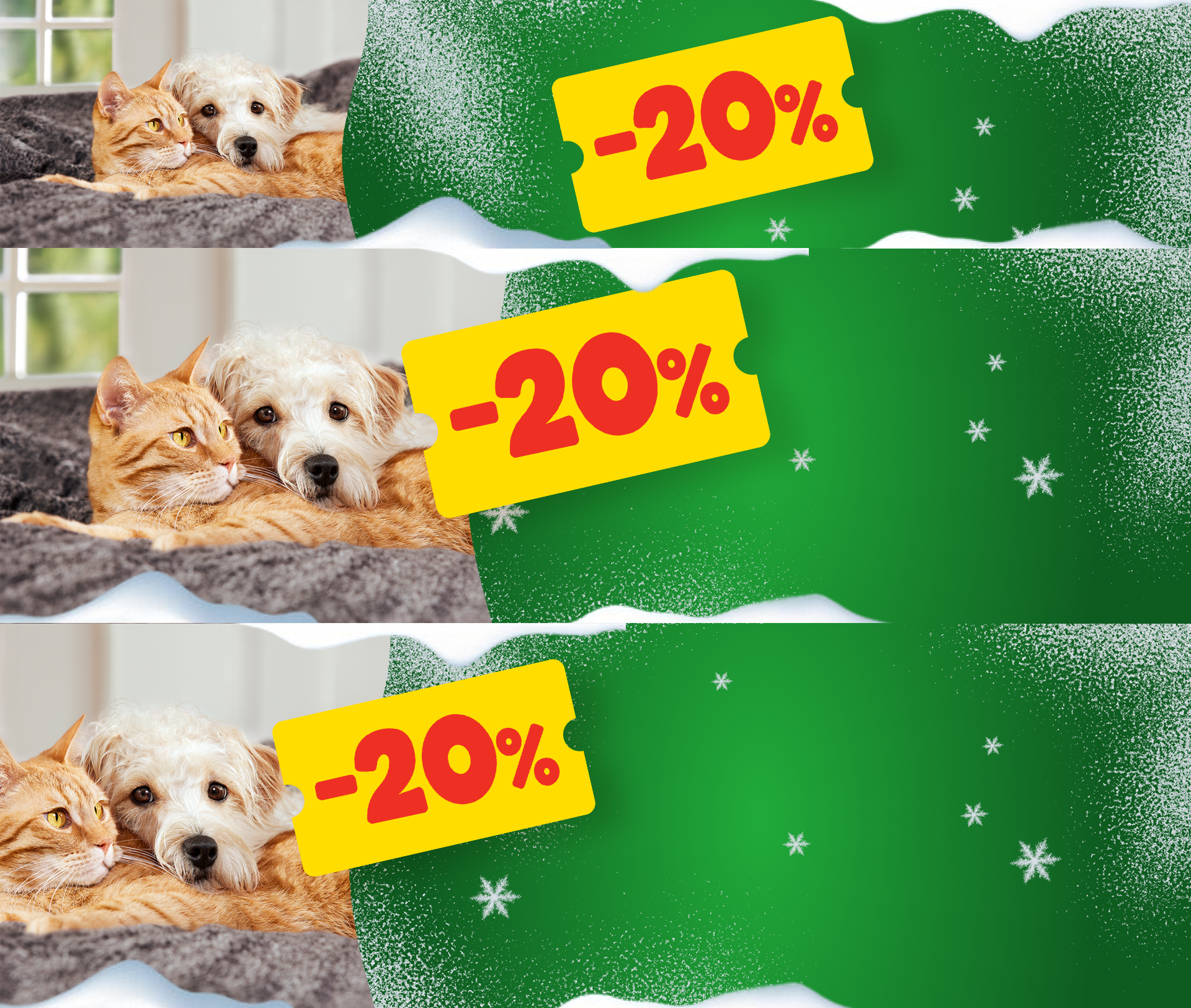 fnchfr_x-channel_12-25_onsite_PLP_teaser_1920x1626