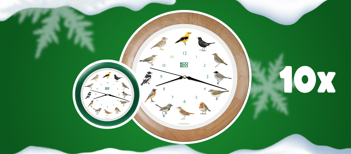 Türchenvorschau KooKoo Uhren