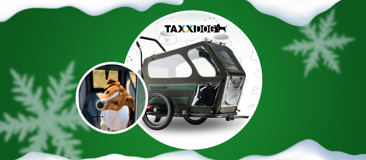 Türchenvorschau Fahrradanhänger