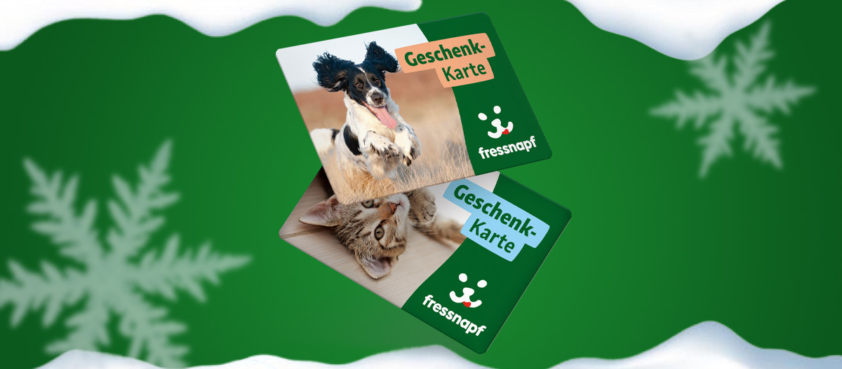 Türchenvorschau FN Gutscheine