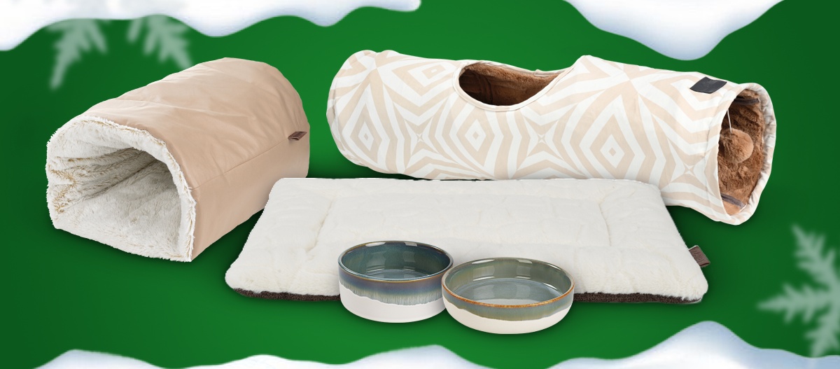 Türchenvorschau More Lifestyle Pets Pakete