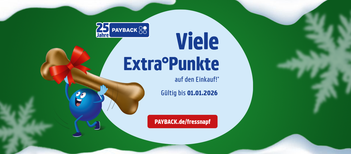 Türchenvorschau Payback