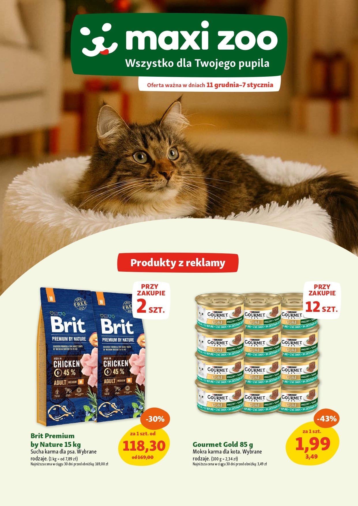 251112-MZoo-Flyer-12-2call-digital_v4-4-fin-TC_page-0001