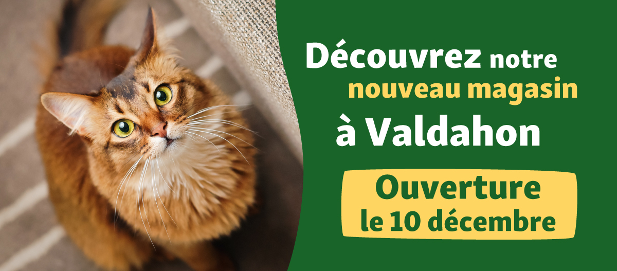Banner-web-newsletter-valdahon bannière présentant l'ouverture du magasin de Valdahon Maxi Zoo France le 10 décembre 2025