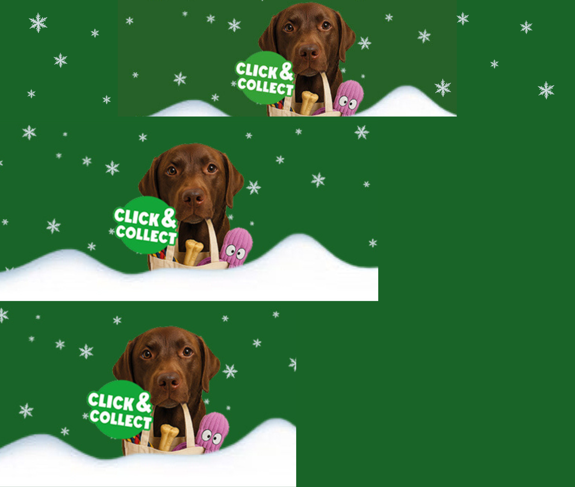 Click&Collect_PLP und Stage Teaser_1920x1626