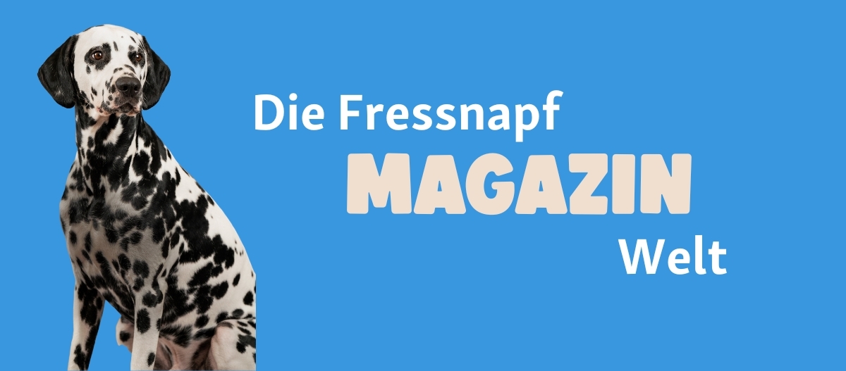 FN Friends0126_Startseite