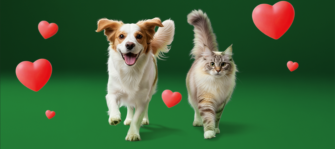 fnat_kompetenz_01-26_onsite_promo-teaser_1076x480-694295b71a35c