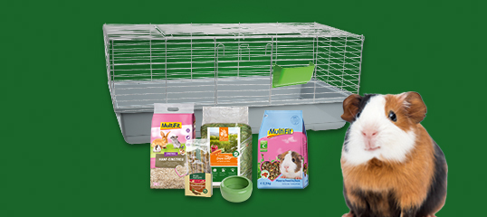 promo_teaser-kit_cage_cochondinde