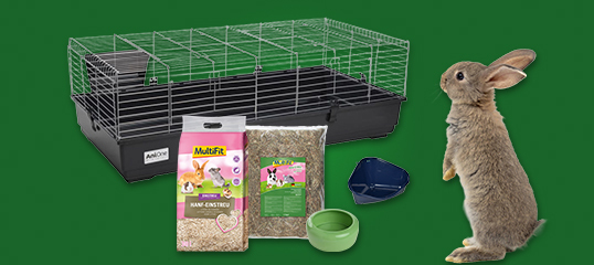 promo_teaser-kit_cage_lapin