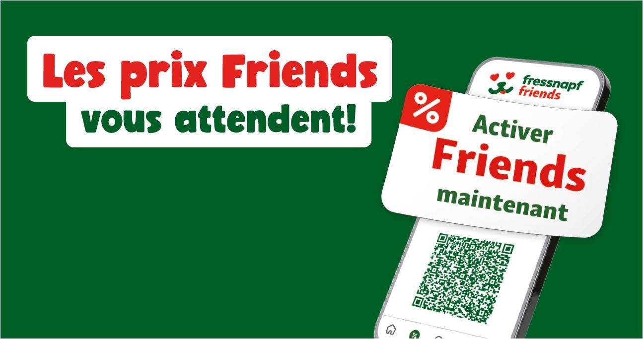 Friends-Preis-CH-FR_Banner OnePager_gross