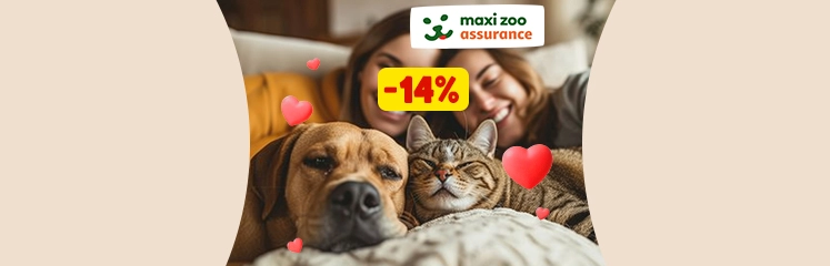 Maxi Zoo Insurance Valentine’s promo: 14% off offer