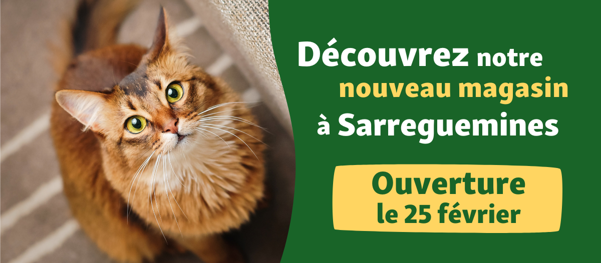 Banner-Sarreguemines