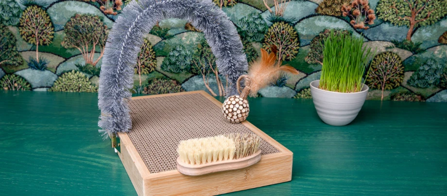 DIY-Katze-Kratzpappe-Titel-1200x527