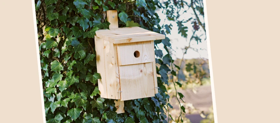 DIY-Wildtier-Vogel-Nistkasten-Vogelhaus-Titel-1200x527
