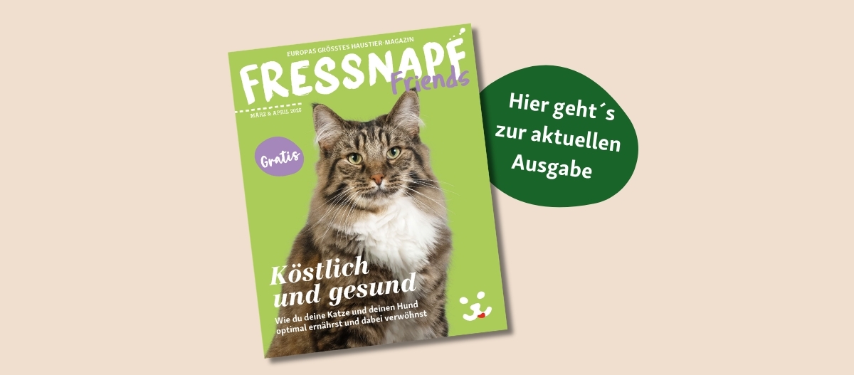 FN Friends0226_DE_ipaper (1200 x 527 px)