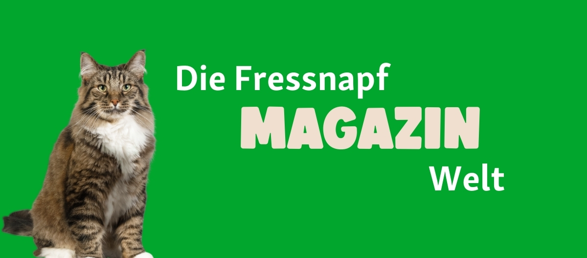 FN Friends0226_Startseite