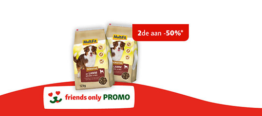 MZ_banner_538x240px_Friends_NL-69a0671e40289