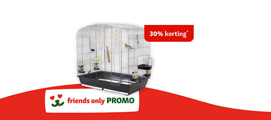 MZ_banner_538x240px_Friends_NL5-69a0667d4a7c8