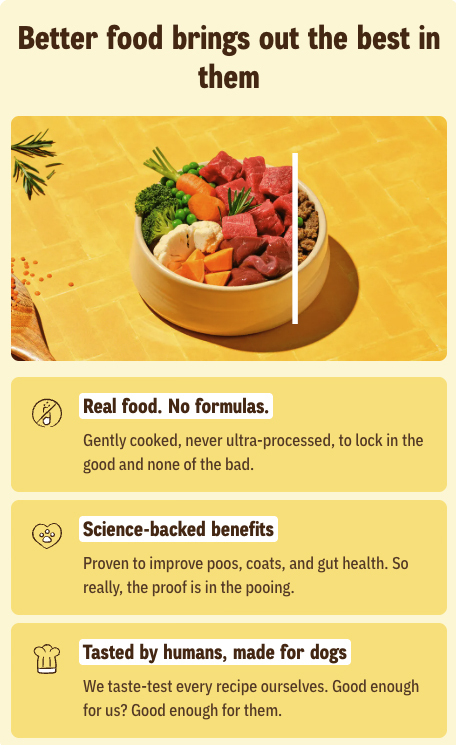 butternut-intro-mobile