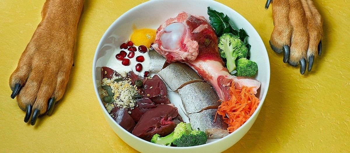 BARF Futter im Napf