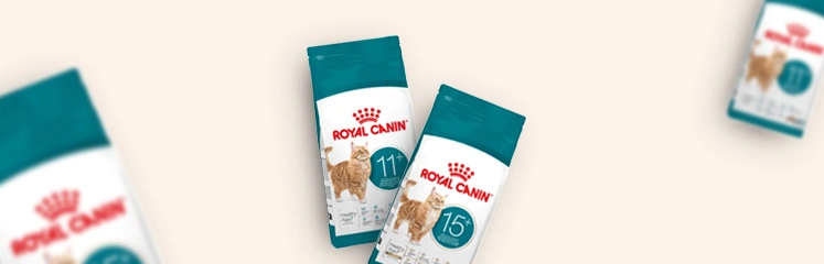 Bannière avec sacs de croquettes Royal Canin sur fond beige