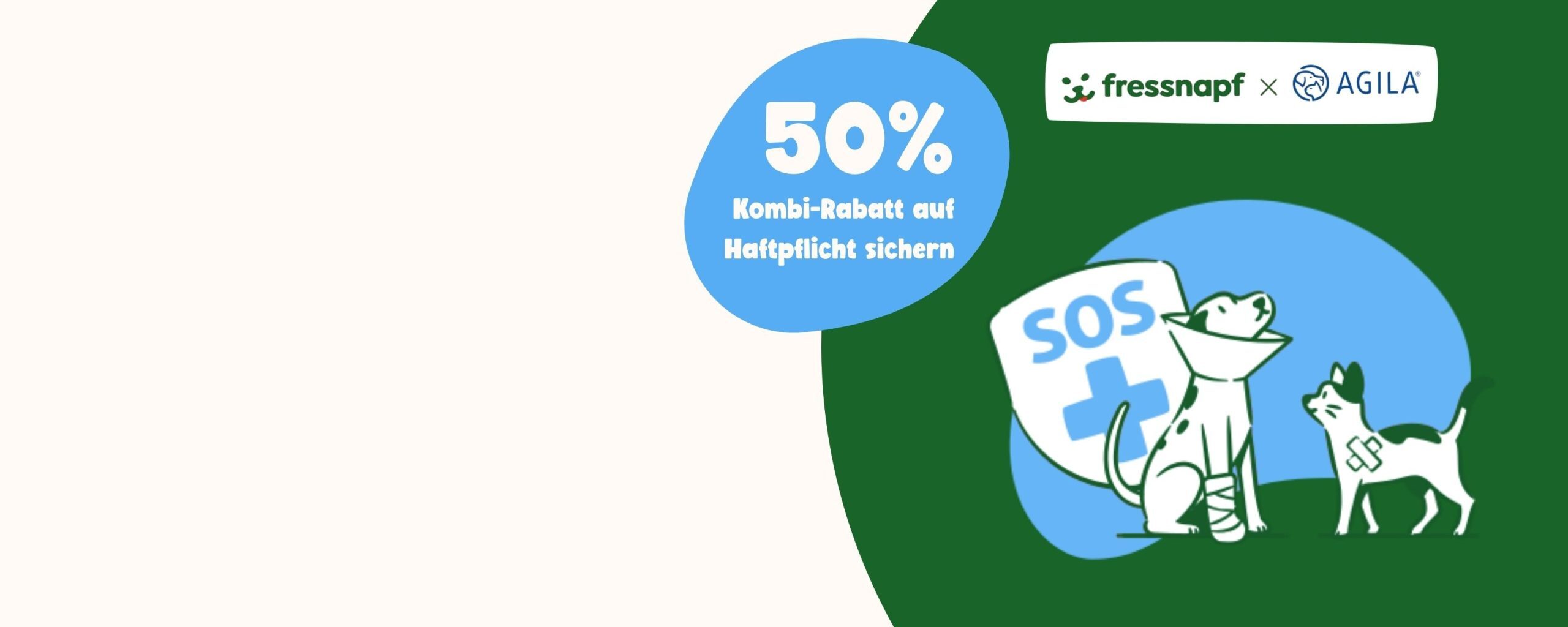 Agila Intro Banner NEU