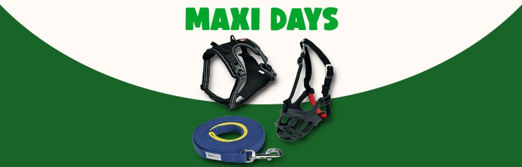 Trois accessoires de promenade pour chien, avec le texte Maxi Days, fond ivoire et vert