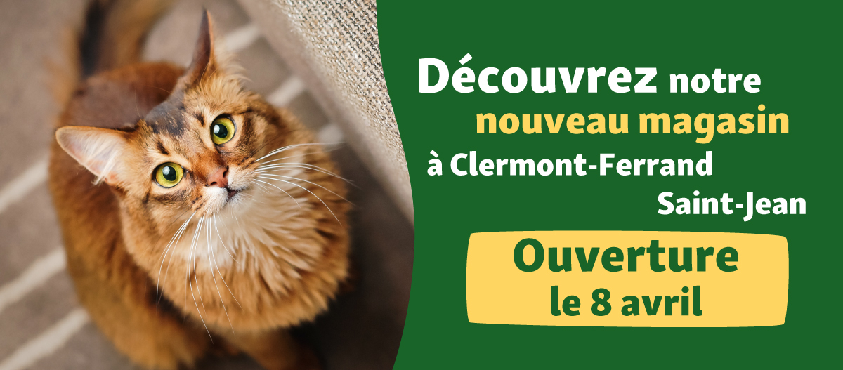 Banner-web-newsletter-clermont-saint-jean