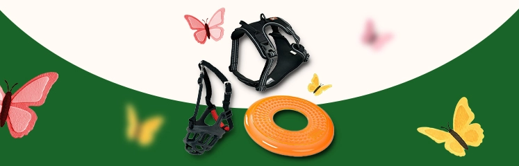 Harnais et jouets dogs creek sur un fond beige et vert, avec des papillons