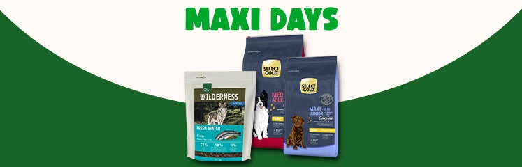 trois sacs de croquettes pour chien sur un fond vert et ivoire, avec le texte Maxi Days