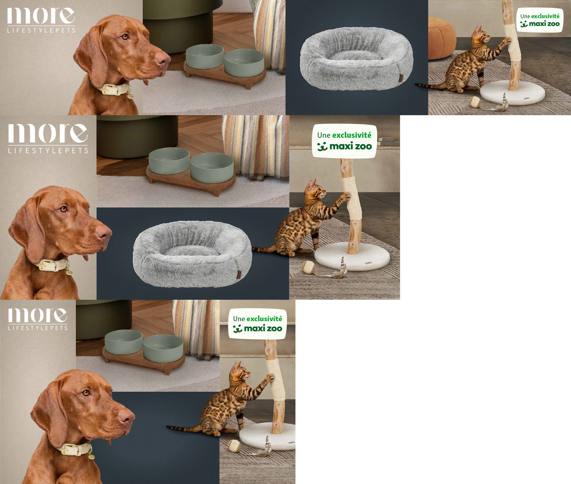 Bannière publicitaire More LifestylePets avec les images d'un chien et d'un chat qui joue avec un arbre à chat