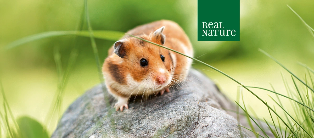 REAL NATURE for Small Animal