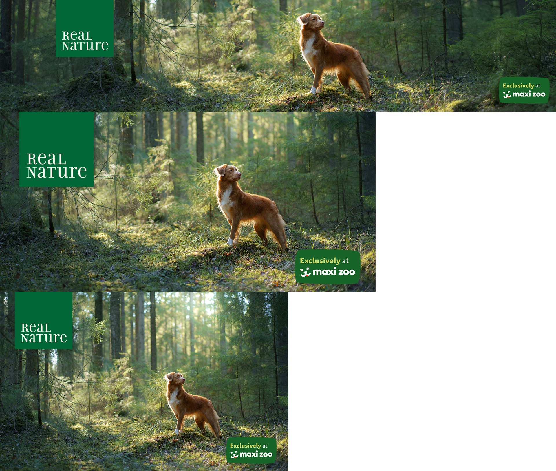Real Nature