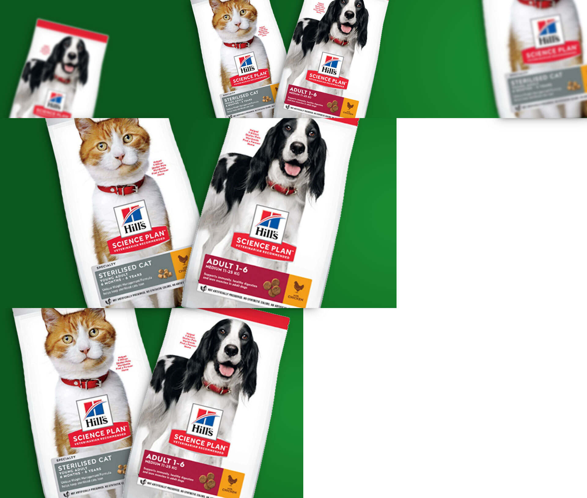 Bannière promotionnelle avec sachets Hills Science Plan sur fond vert