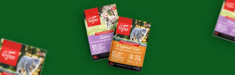 deux sacs de nourriture pour chat orijen, sur fond vert