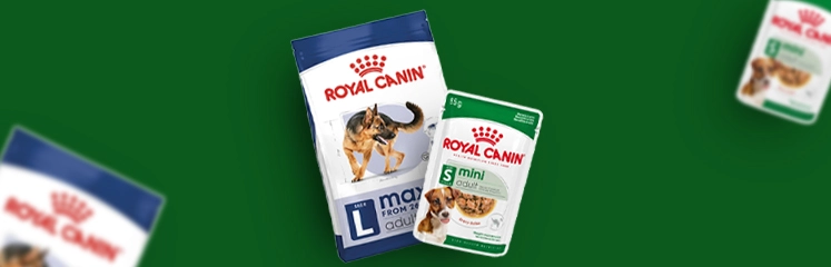 Bannière promotionnelle de Royal canin avec 2 sacs de nourriture pour chat et chien, sur fond vert
